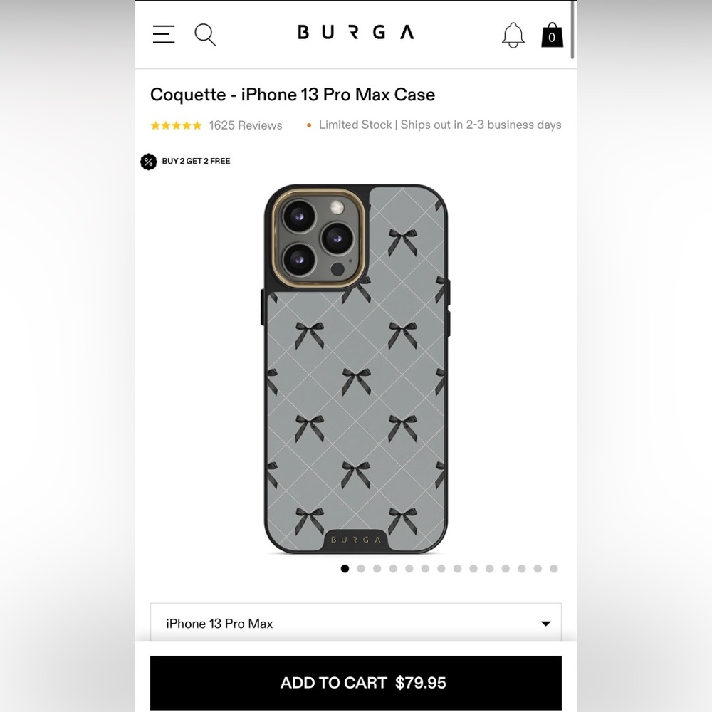 BURGA Coquette iPhone 13 Pro Max Elite Case